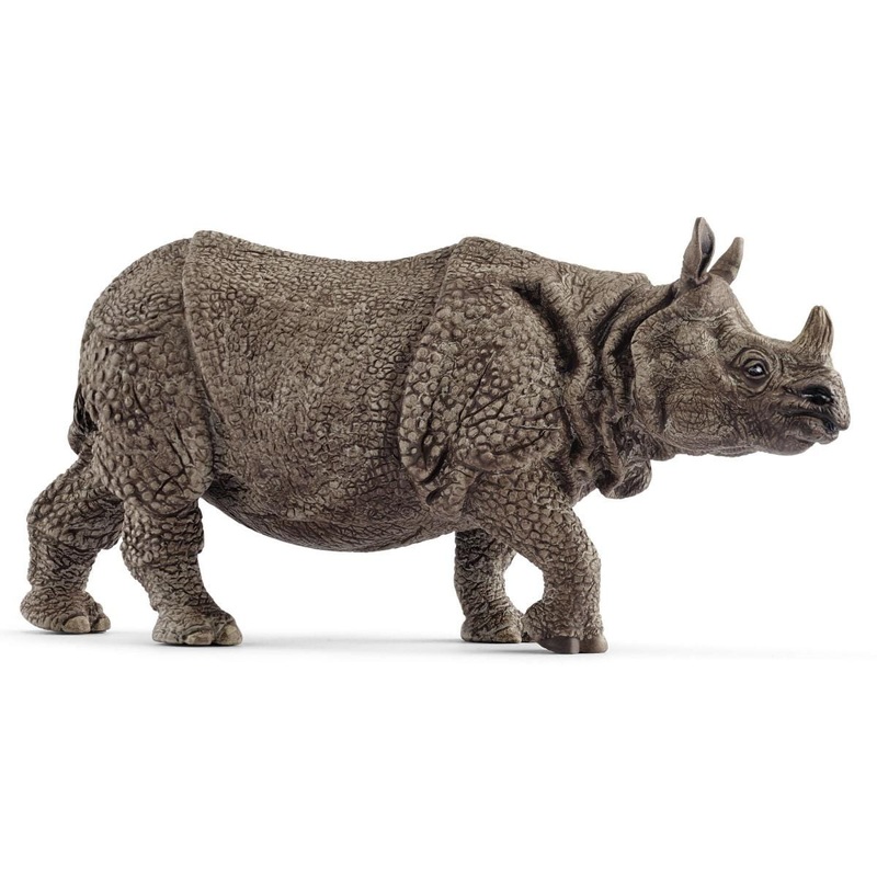 Indian rhinoceros (Bundle)