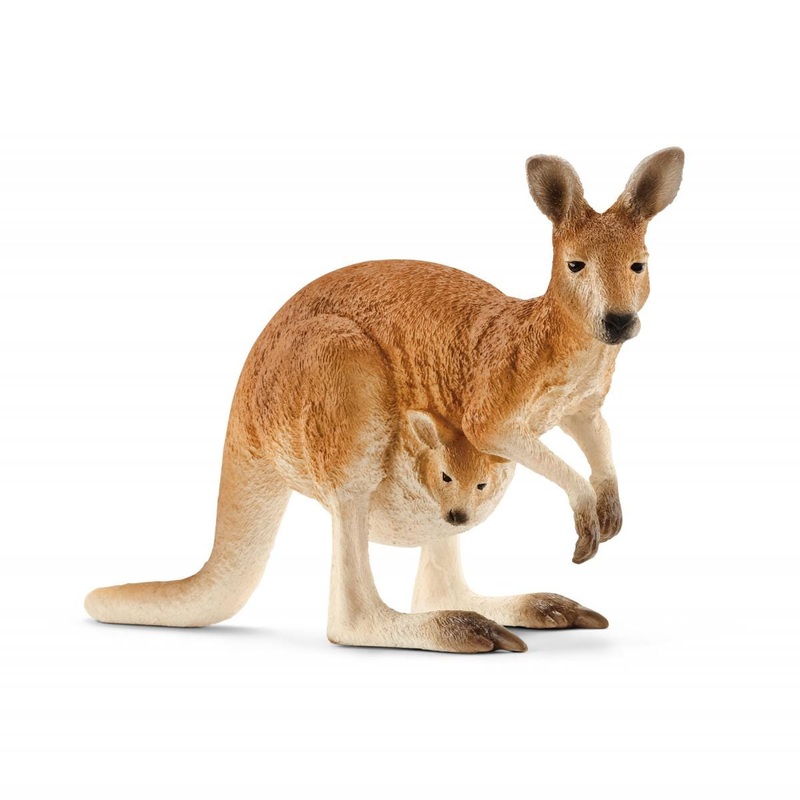 Kangaroo (bundle)