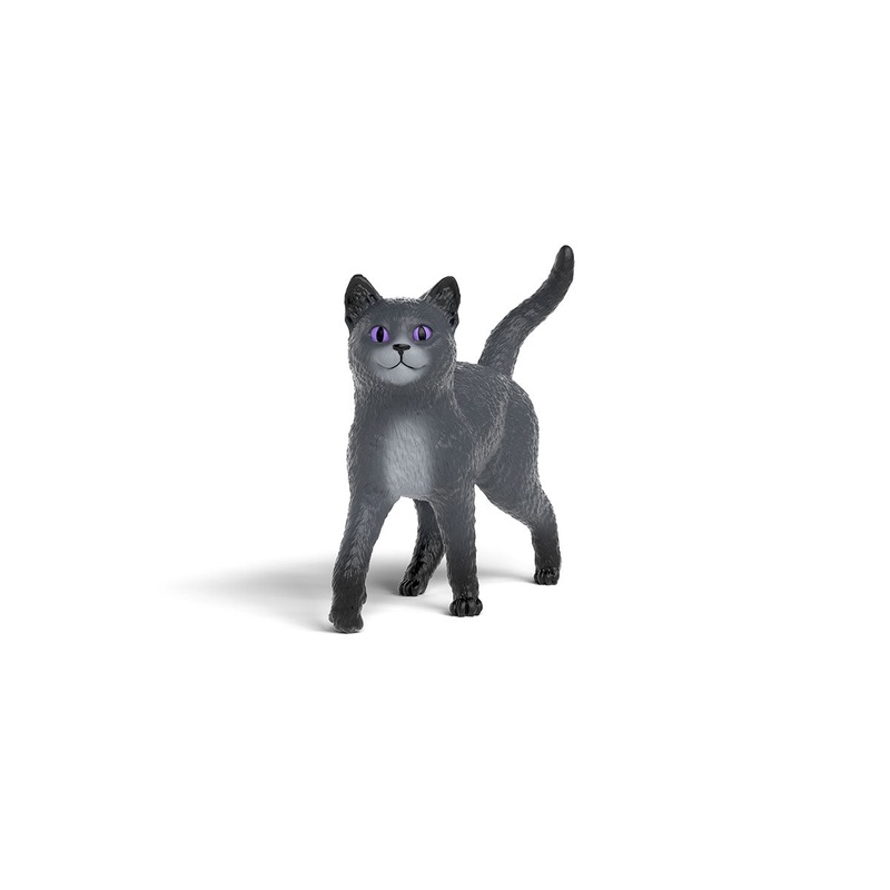 Karajan the cat