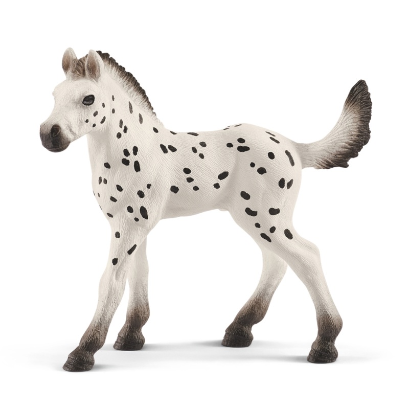 Knapstrupper foal (bundle)