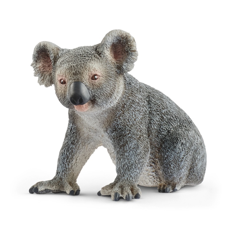Koala bear (bundle)