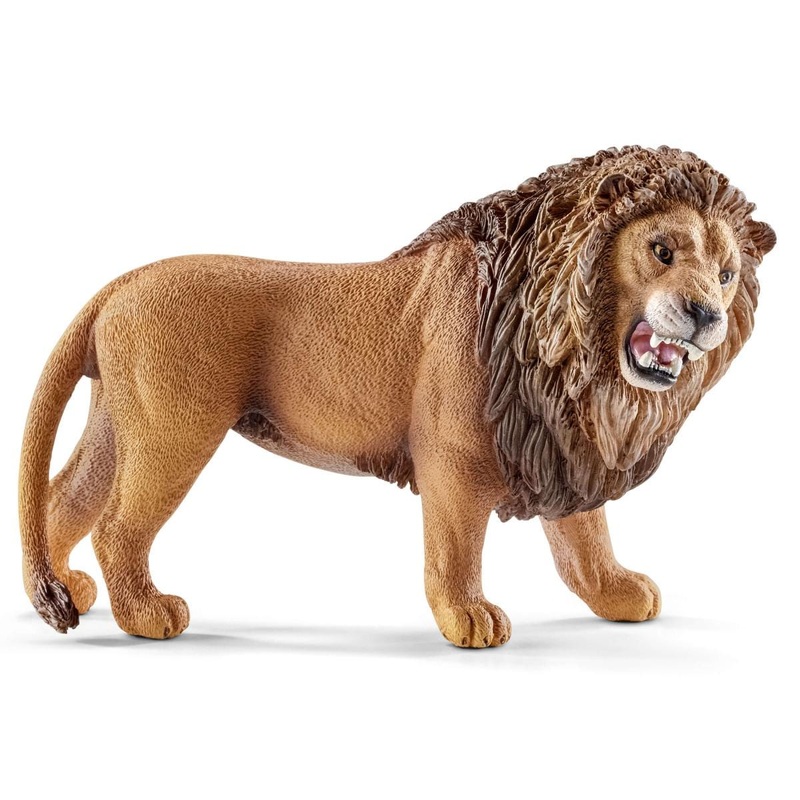 Lion, roaring
