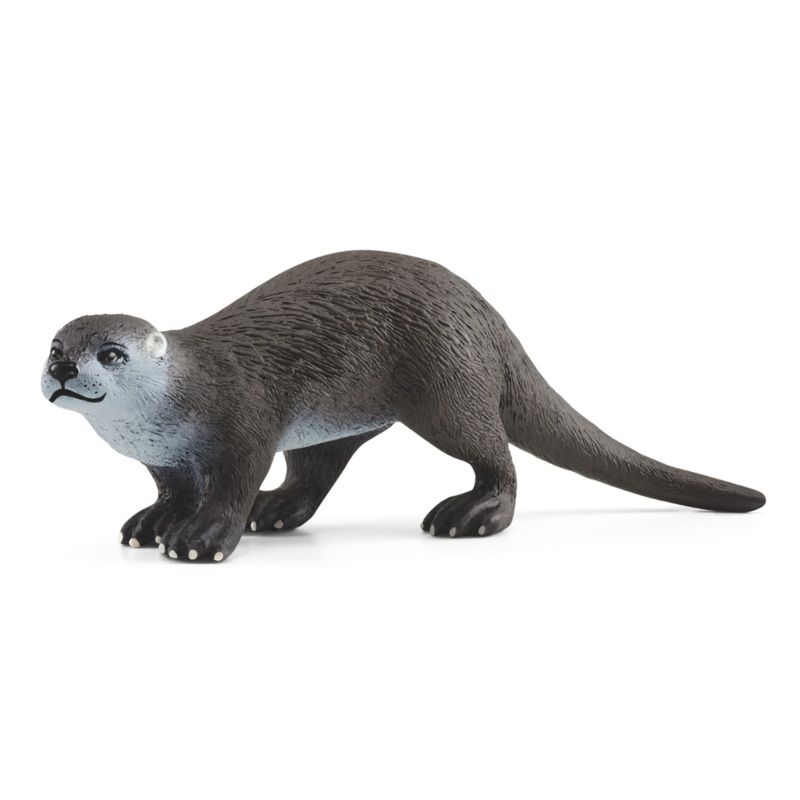 Otter (bundle)