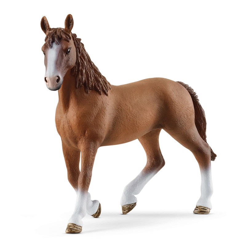 Cheval de Selle Francais mare
