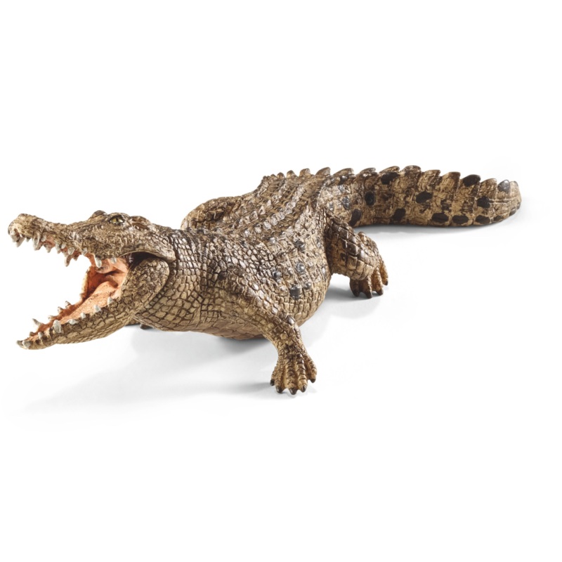 Crocodile (bundle)
