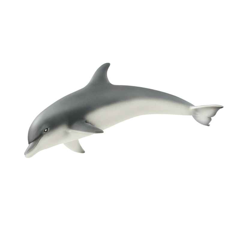 Dolphin (bundle)