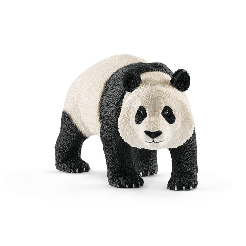 Giant panda (bundle)