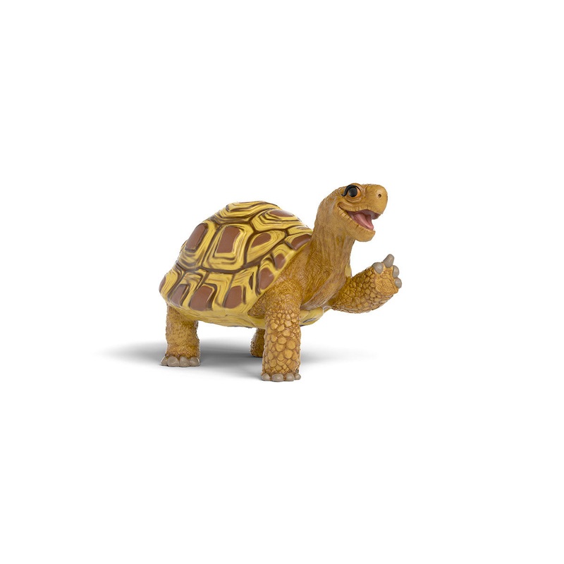 Henrietta the turtle