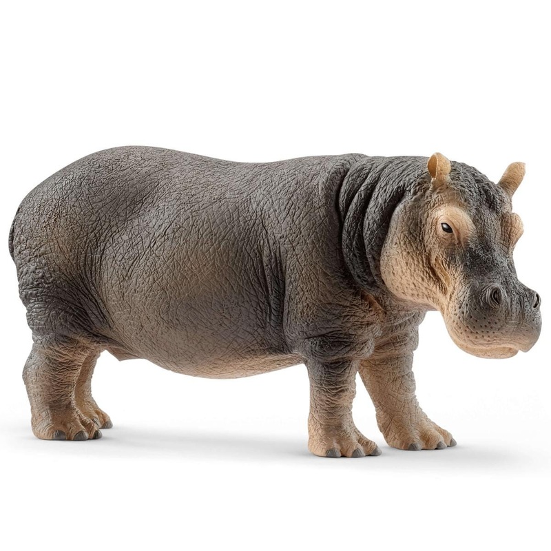 Hippopotamus (bundle)