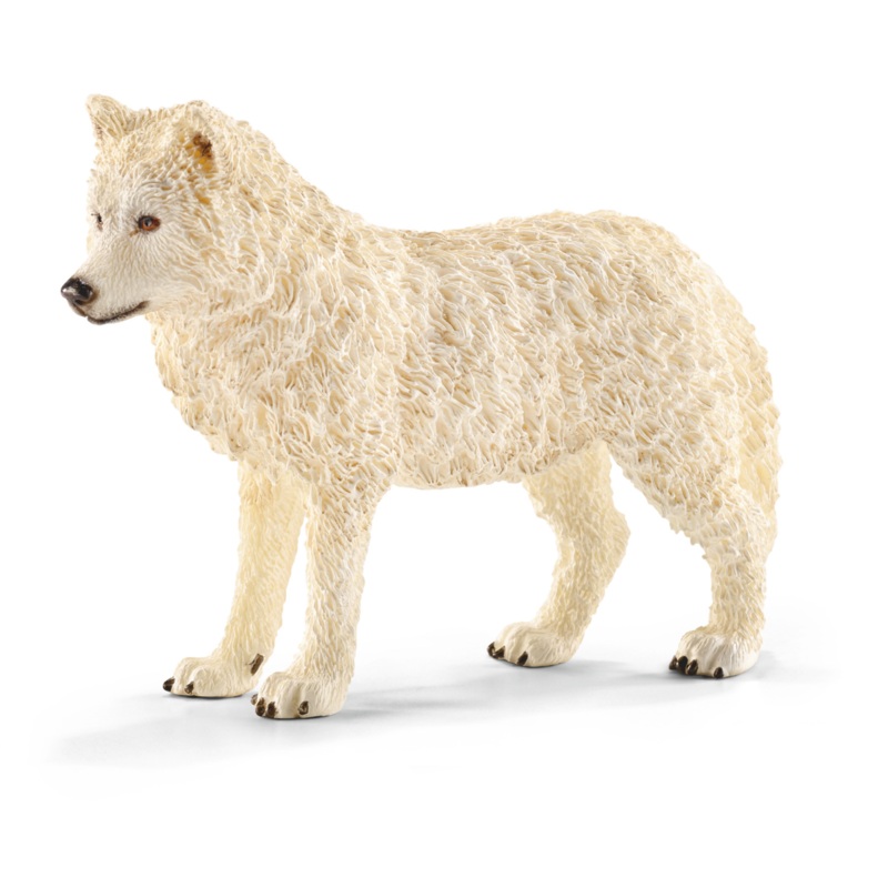 Arctic wolf (bundle)