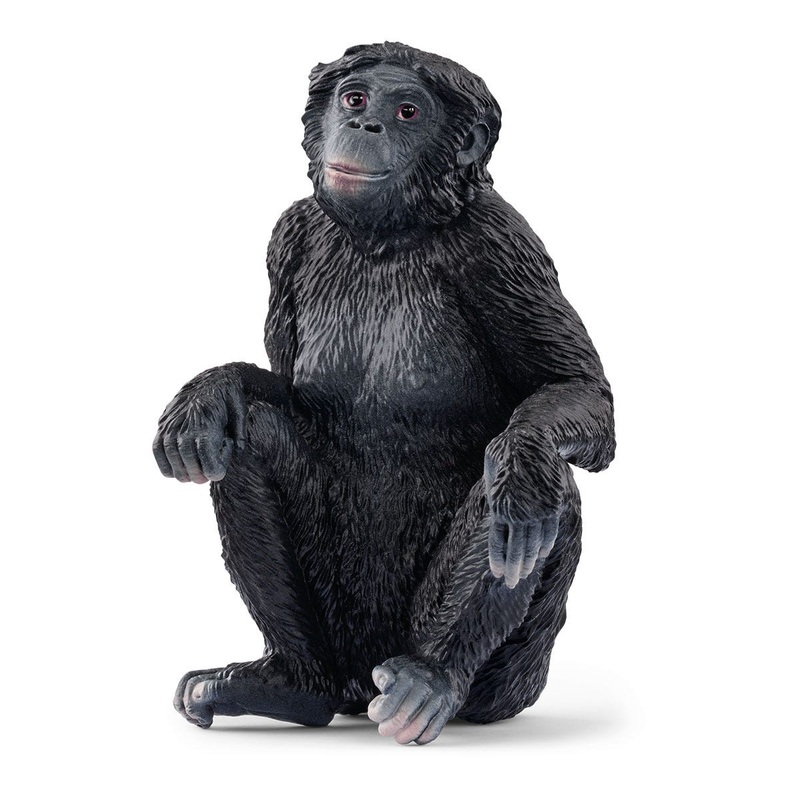 Bonobo Female (Bundle)