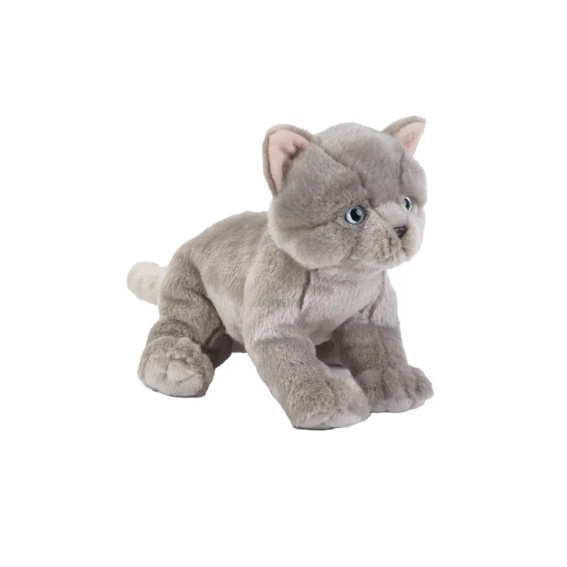 NATGEO PLUSH PREMIUM BRITISH KITTEN 10IN