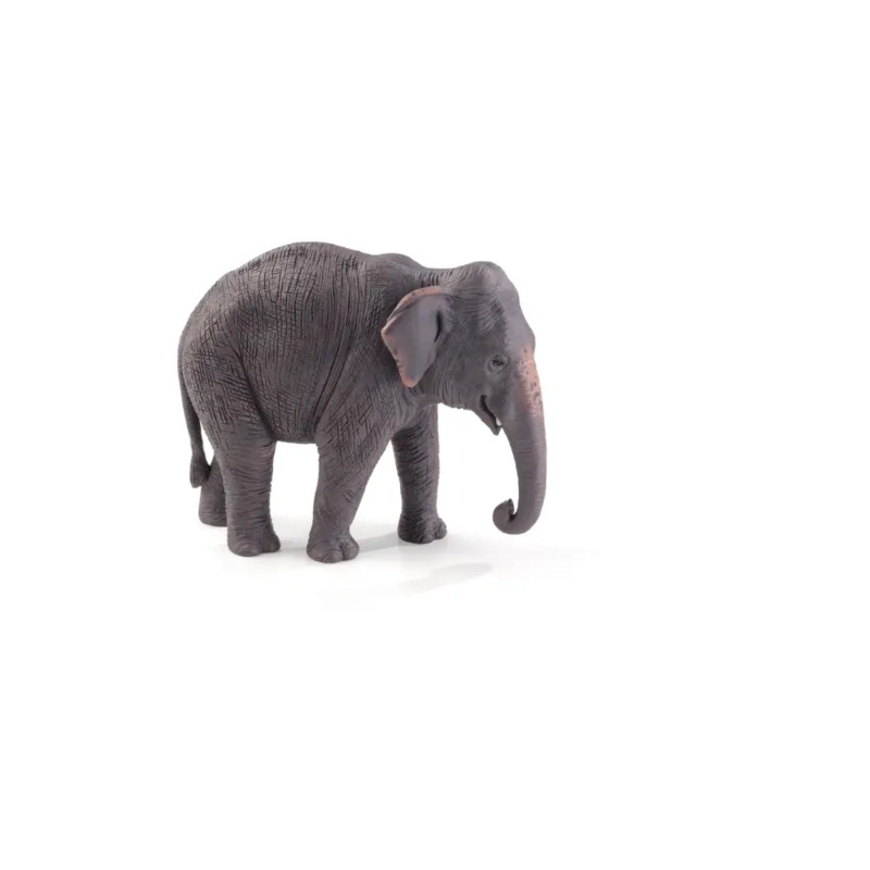 Mojo Animal Asian Elephant