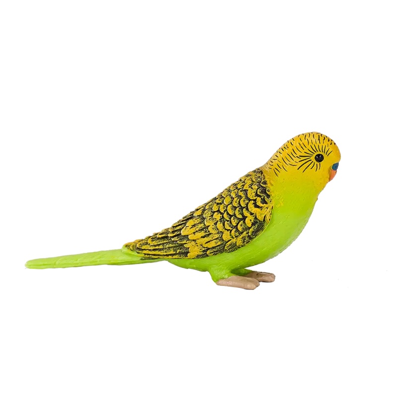 Mojo Animal Budgerigar Green