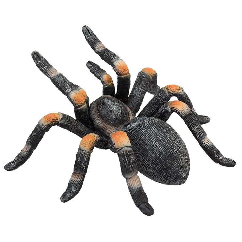 Mojo Animal Red Kneed Tarantula