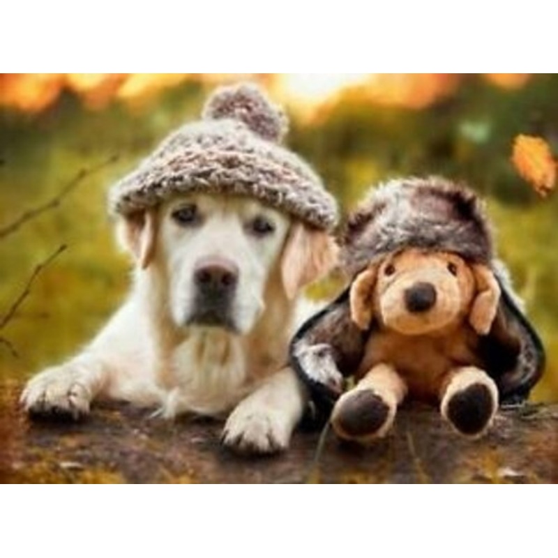 "Ravensburger 500pc - Winter Labrador Puzzle"