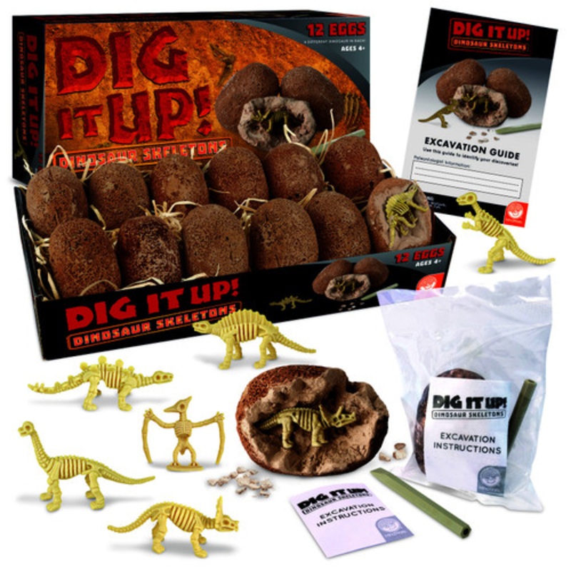 "Dig It Up! Dinosaur Skeleton"