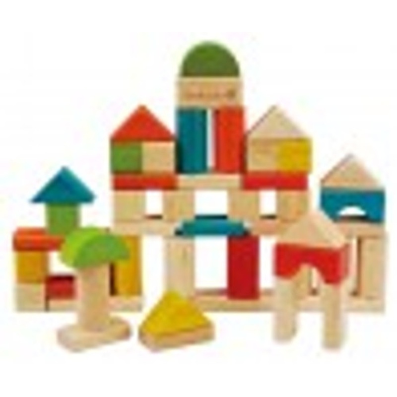 "Everearth - 50pc Building Blocks"