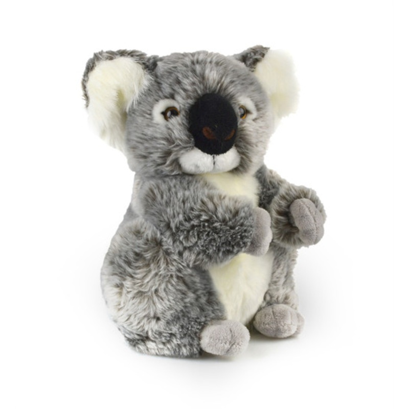 "Korimco Koala Kalypso 21cm"