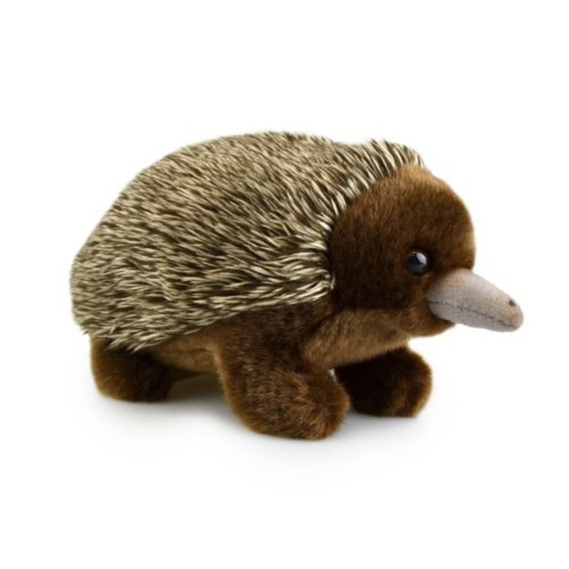 "Korimco Lil Friends - Echidna Plush 18cm"