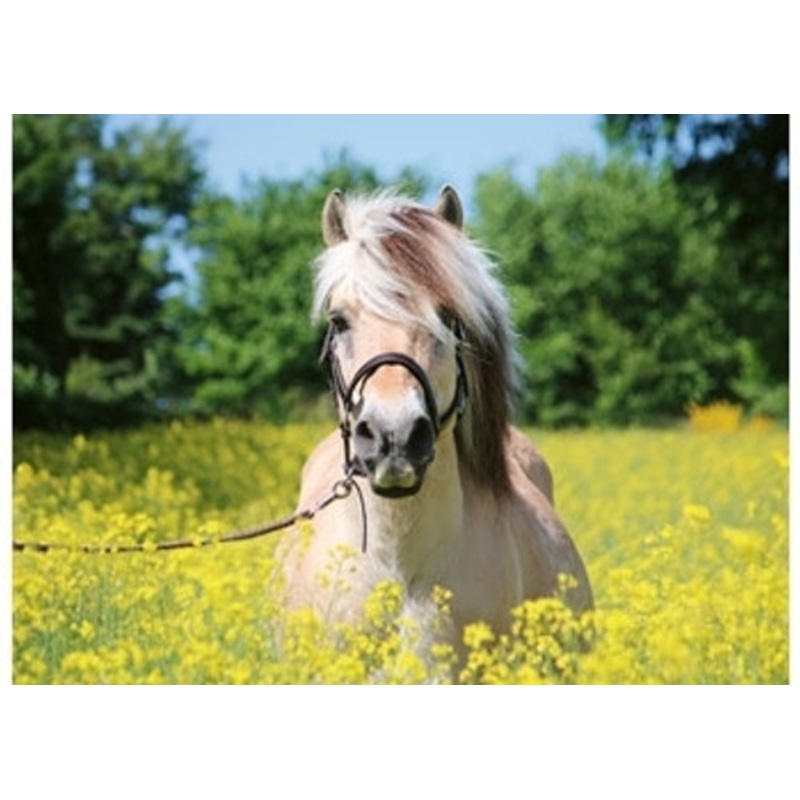"Ravensburger 500pc - White Horse Puzzle **Damaged box**"