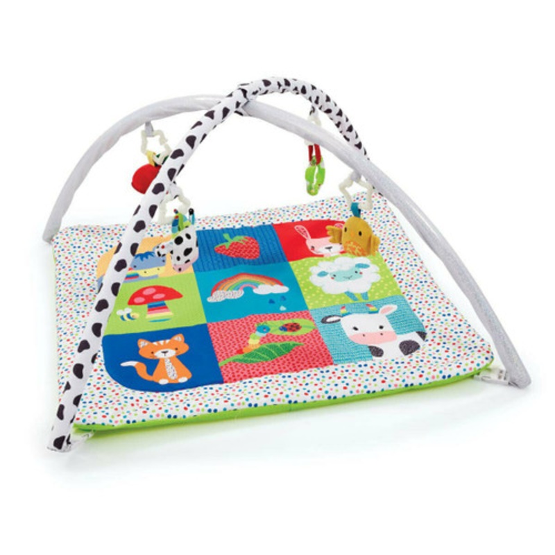 "ELC - Blossom Farm Activity Playgym"