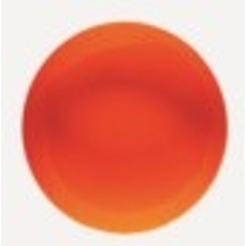 "Educational Colours - Flouro Rainbow 250ml Orange (Junior Acrylic) Paint"