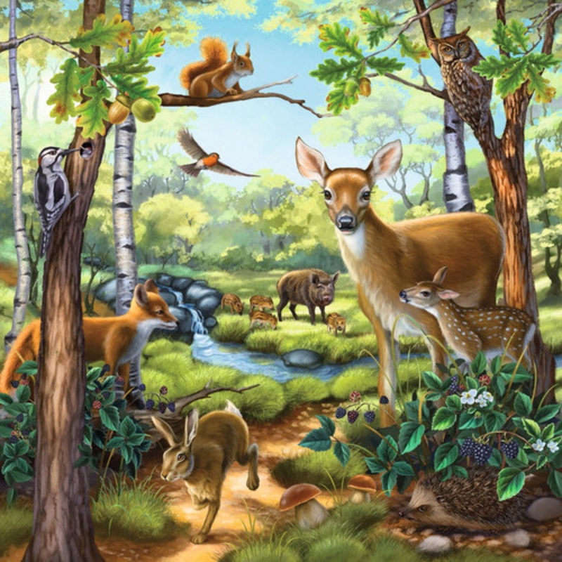 "Ravensburger 3x49pc - Forest Zoo & Pets Puzzle"