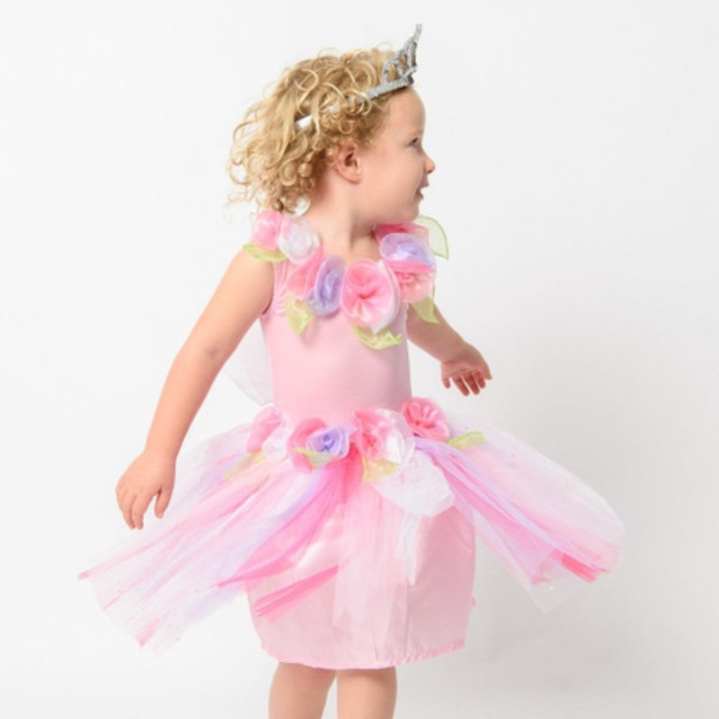 "Fairy Girls - Enchanting Fairy Dress Pastel"