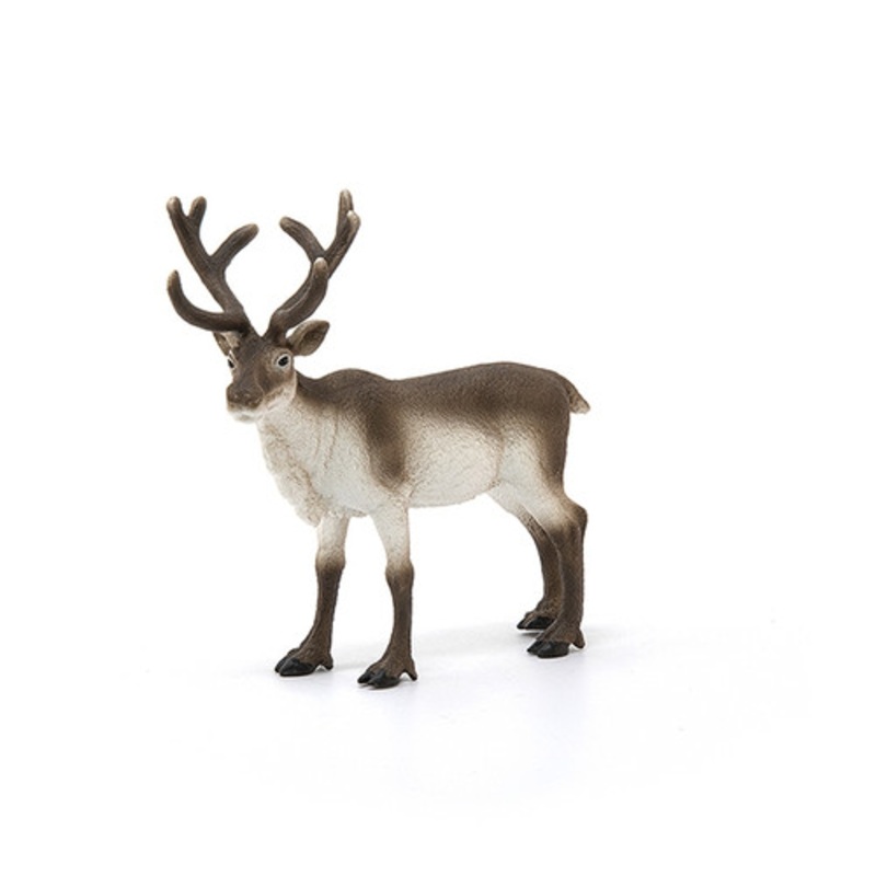 "Schleich Wild Life - Reindeer 14837"