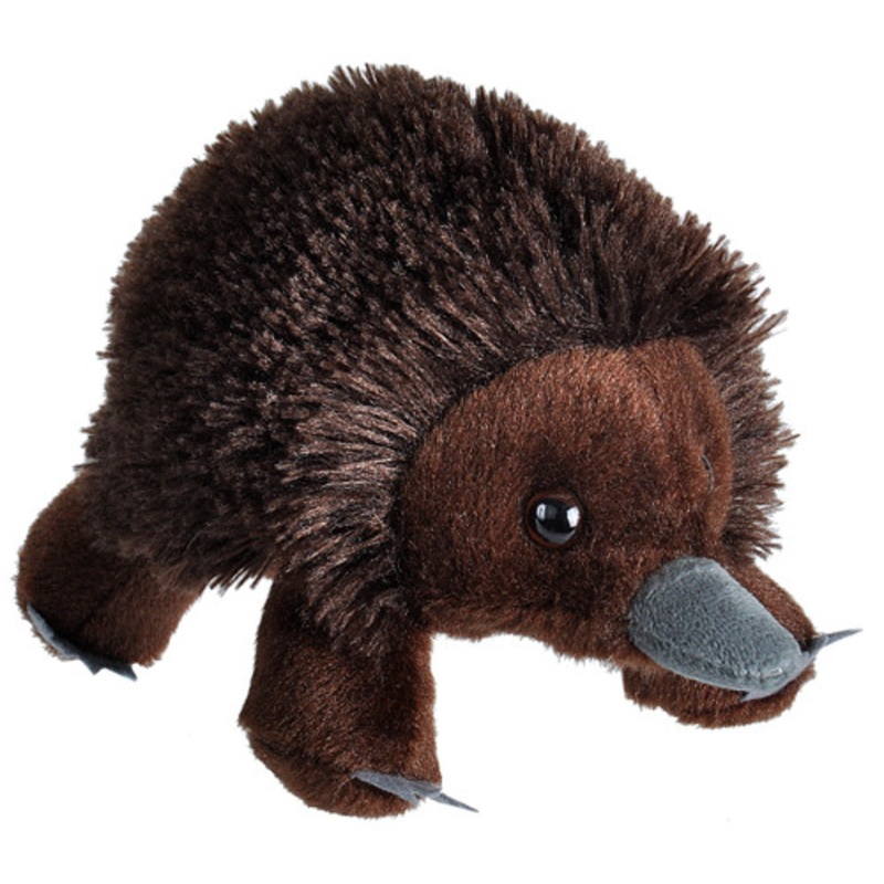 "Wild Republic - Hug'ems Mini Echidna 18CM"