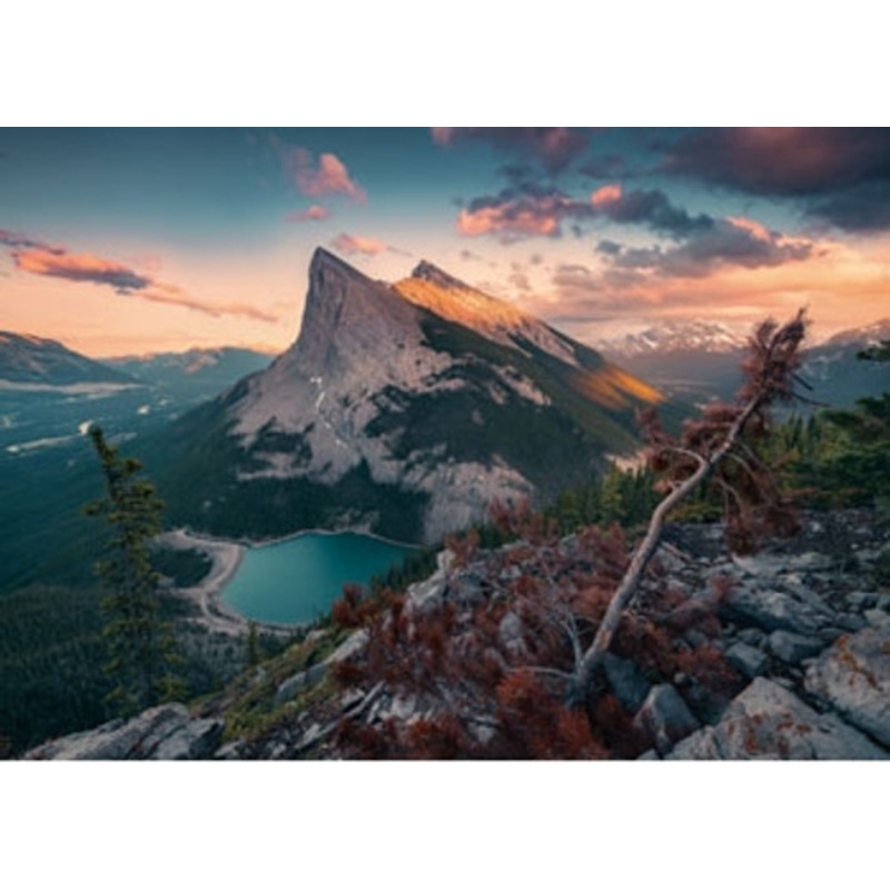 "Ravensburger 1000pc - Wild Nature Puzzle"