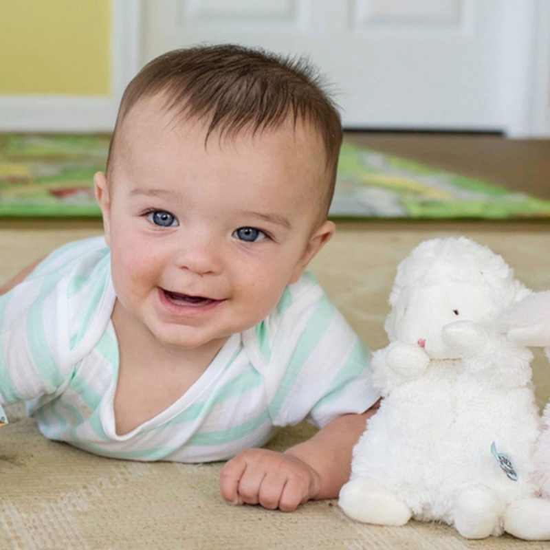 "Bunnies By The Bay - Wee Kiddo the Lamb Cream"