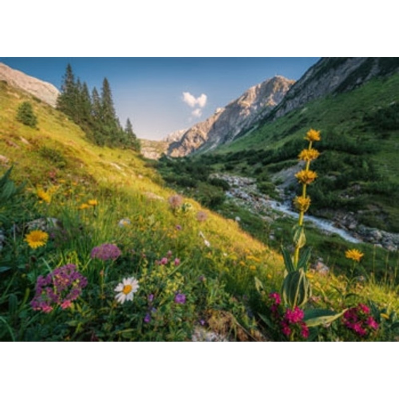 "Ravensburger 1000pc - Magical Valley Puzzle"