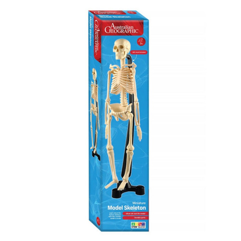"Australian Geographic - Mini Skeleton 46cm"